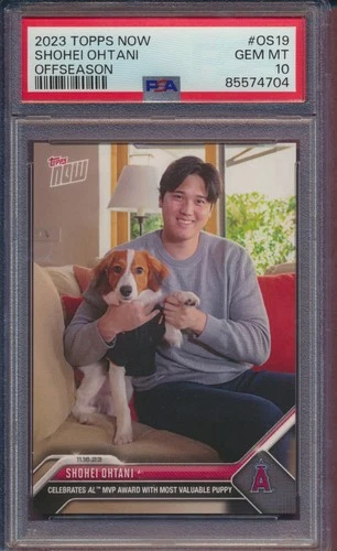SHOHEI OHTANI 2023 TOPPS NOW #19 OFFSEASON W/ DECOY PSA 10 GEM MINT