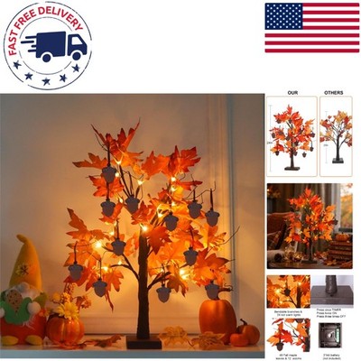 2FT Lighted Maple Leaves Tree with 24 LEDs & Acorns - Perfect for Autumn Decor