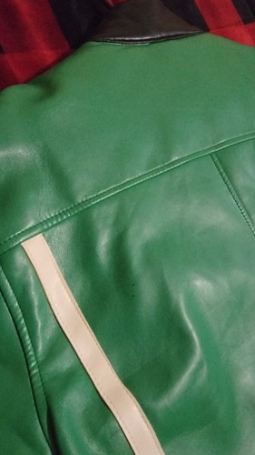 SouthPole Authentic Collection Championship Series Racing Jacket Green-Adult MED - Picture 9 of 22