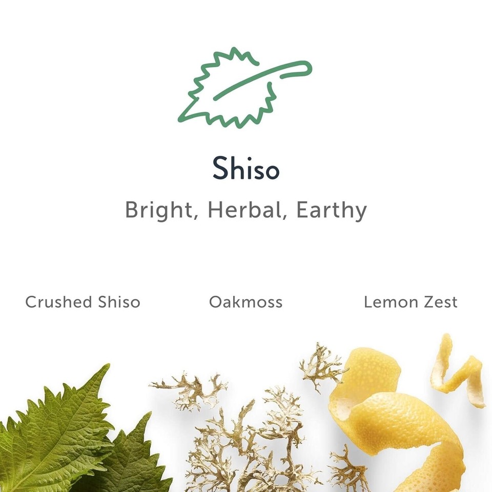 Harry's Odor & Sweat Control Shiso Antiperspirant Deodorant 2.5 oz 2