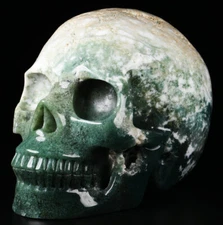 Huge 5.0" Green Moss Agate Carved Crystal Skull, Realistic, Crystal Healing