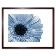 Powder Light Blue Gerbera Flower Art Picture Framed Wall Art Print