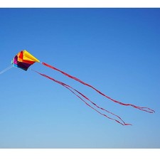 Rainbow Parafoil Kite with 5m Long Tails Single Line Parachute Kite Easy to F...