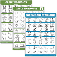3 Pack - Cable Machine Workout Posters Volume 1 Volume 2 Bodyweight Exercise
