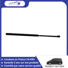 Verin de hayon / de capot Peugeot 1007