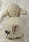 Bild 8 von 13