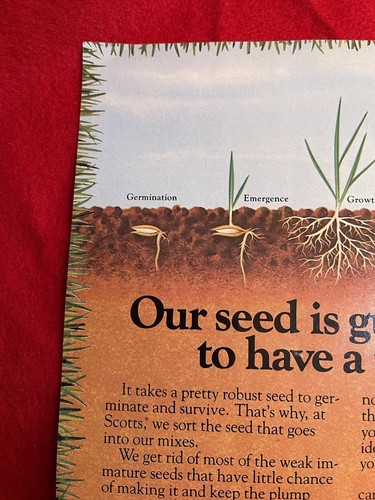 Vintage 1981 Scotts Family Grass Lawn Seed Print Ad - Picture 4 of 7