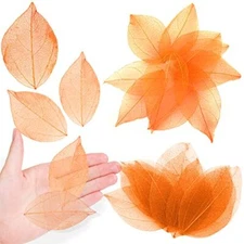 Natural Orange Dried Pressed Skeleton Leaves Vein for Resin 42PCS Real Presse...