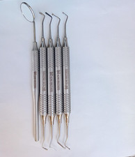 Dental Teeth Cleaning Kit Dentist Floss Plaque Remover Oral Care Tooth Tool 5PCS