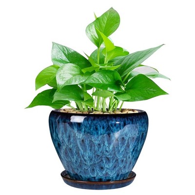 Ceramic Modern Glaze Succulent Planter Pot with Drainage Hole 6 Inch, Blue 