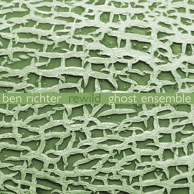 Ben Richter: Rewild