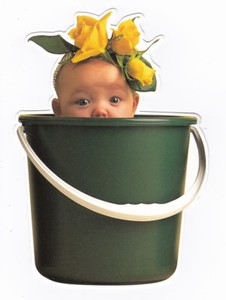 Bebe Anne Geddes Carte Postale N 32 Carte Avec Motif Decoupe Bebes Enfant Ebay Bebe Anne Geddes Carte Postale N 32 Carte Avec Motif Decoupe Bebes Enfant Ebay