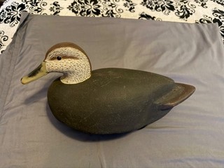 Tim McEntire Black Duck