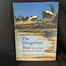The Dangerous Year By Era Zistel 1967 HC Illustrated By John Schoenberr