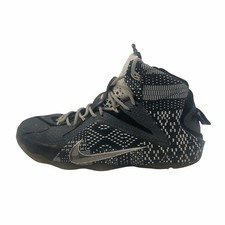 Nike LeBron 12 BHM - 718825-001 for Sale | Authenticity Guaranteed