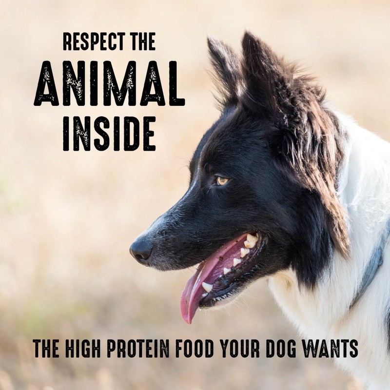 High Protein Grain Free Adult Dry Dog Food W/ Real Beef All Breeds 22lb New