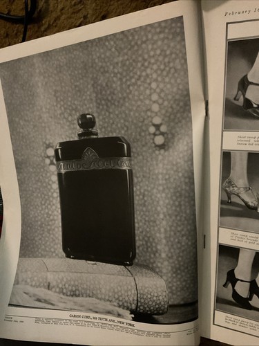 February 15, 1929 Vogue - Picture 2 of 19
