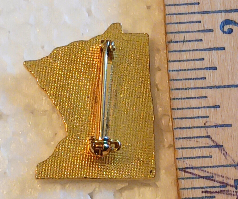 Minnesota State OES Masonic Pin