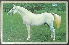 Arabian White Horse Vintage Single Swap Playing Card