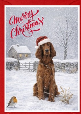 Irish Setter roter Hund (4''x6'') Weihnachtskarte - innen leer - von Starprint