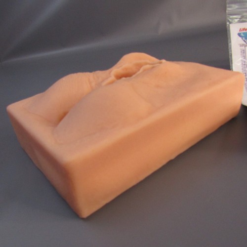 Life/form Episiotomia Midline Sutura Simulatore LF00691 Modello Medico Kit Formazione - Foto 3 di 6