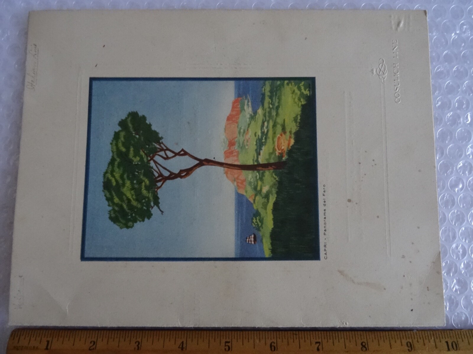 Picture 11 of 12