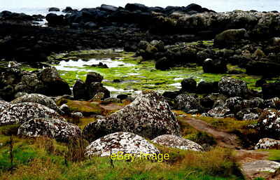 Photo 6x4 Antrim Coast - Giant's Causeway - Tidal Pools at Port Ganny  c2013