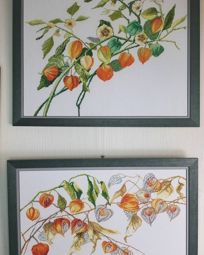DIY Counted Cross Stitch Pillow Kit "Physalis" - Picture 9 of 9