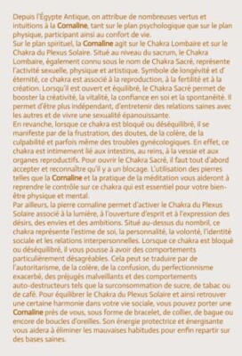 Collant Femme Résille Noire à Maille Fantaisie - Passion Collant Femme Résille Noire à Maille Fantaisie - Passion