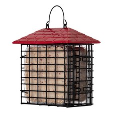 Double Suet Feeder More Birds with Weather Guard Wild Bird Assorted