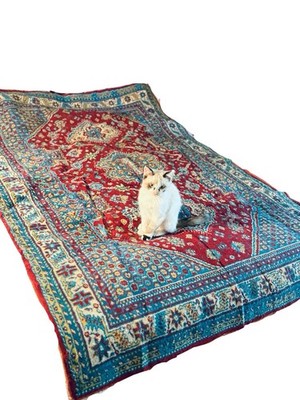 Antique 1930s Chenille Rug  Medallion Velvet Carpet 4x6 Moody Maximalist