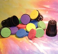 16 CLONE COLLAR INSERT plus 16 2 NET POT CUPS...
