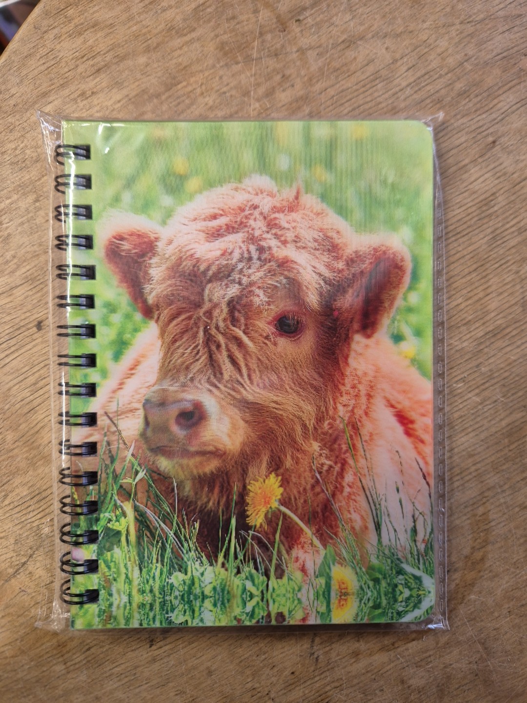 Highland Cow notebook Highland Cows Highland Calf Notebooks A6 Notepad Calves