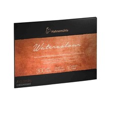 Hahnemuhle Collection Watercolor 300 Block Cold Pressed 11.8X15.7 Inch
