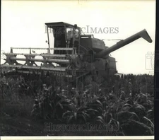 1970 Press Photo Richard Andel, 12, drives tractor at Pierce Estate in Wharton