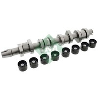 Schaeffler INA Nockenwellensatz Passend FüR Audi A3 A4 A6 Ford Galaxy Seat