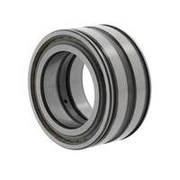 Ina Zylinderrollenlager SL045022 -D-PP-C3 Id 110Mm Ad 170Mm Breite80Mm 1St./Ve