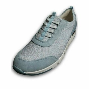 Donna Sneakers Celeste H Ranger Petra Twg86qOgd1