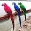 thumbnail 5 - 25CM Fake Parrot Artificial Birds Model Outdoor Home Garden Lawn Tree Decoration