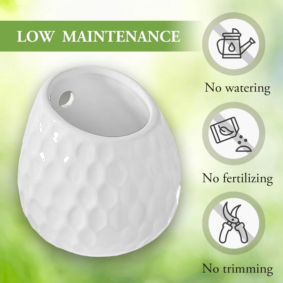 Mini plantadeiras de parede de cerâmica branca inspiradas em bolas de golfe 4 polegadas, conjunto de 3 - Imagem 3 de 4