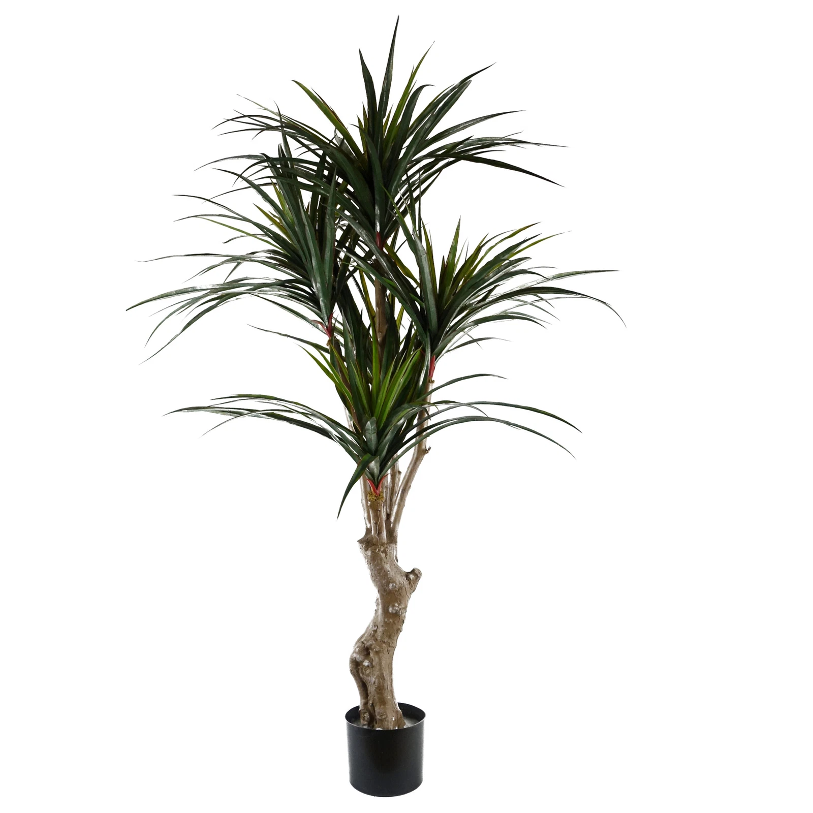 120cm UV Yukka - 40468