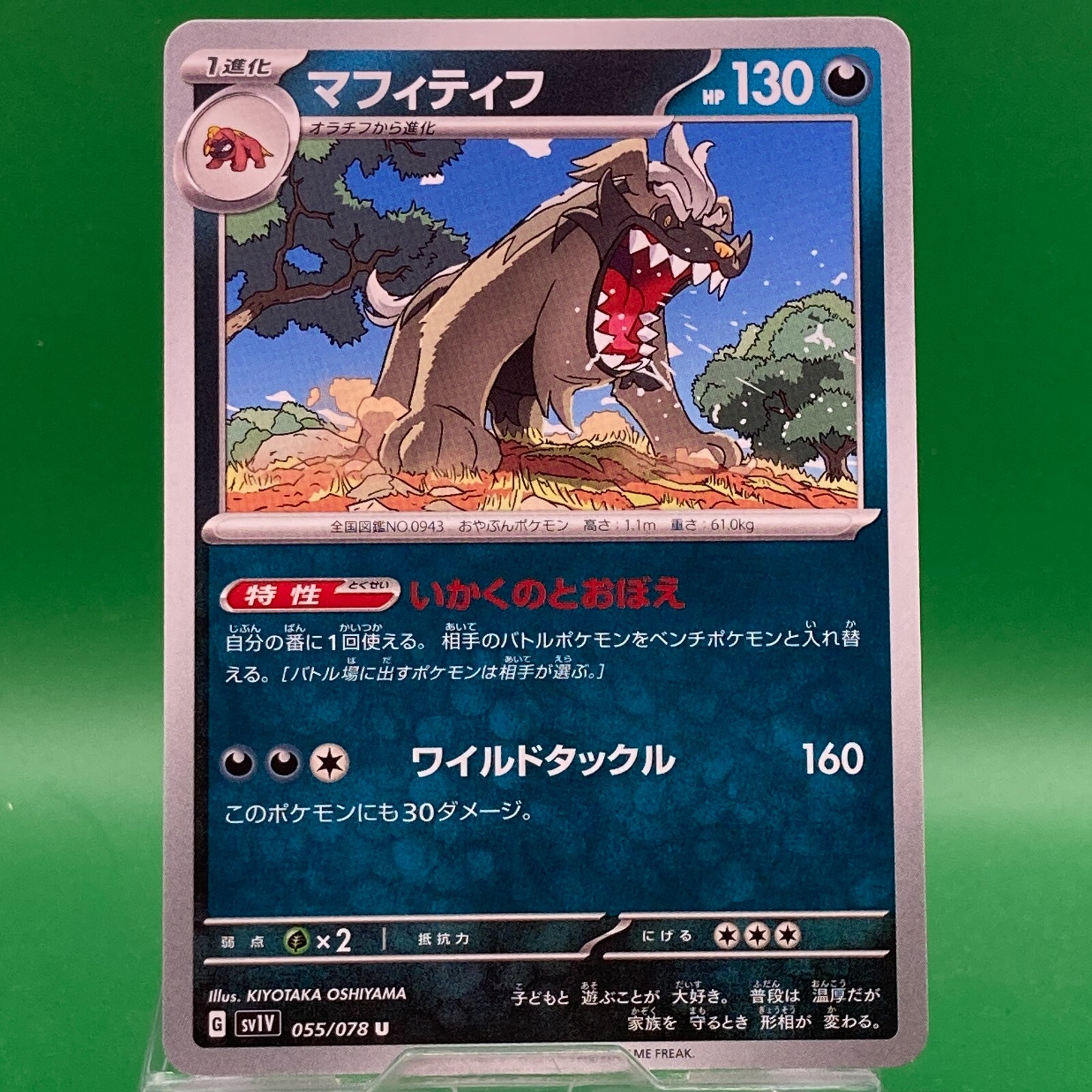Mabosstiff 055/078 Pokemon Card Nintendo Japan Pocket Monster TCG Trading Game