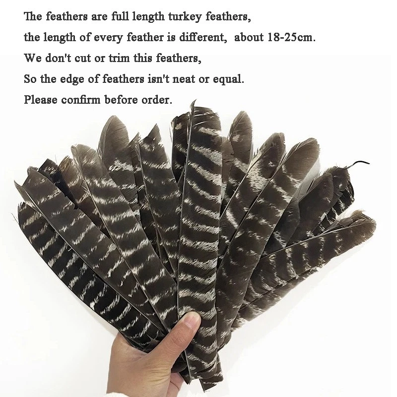 50X Plumas de flecha de longitud completa Flechas Pavo Fletching Shaft Hágalo usted mismo Tiro con arco RW LW Foto 3 de 4