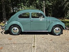 1956 Volkswagen Beetle - Classic 