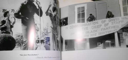 Héritage des Panthères : exposition photographique 1995. Fond de teint Huey P. Newton - Photo 15 sur 21