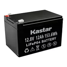 Kastar 12V 12Ah LifePO4 Battery with BMS for Golf Carts, Backup Systems, Solar
