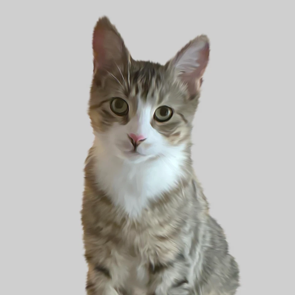 Custom Personalized Digital Pet Portrait / Dog, Cat, Animal Lover Gifts - Image 4 of 4