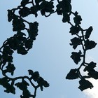 Bild 3 von 8