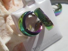 Surgical Stainless Steel Hinge Action Hoop Earrings Rainbow of Colors Snap Close