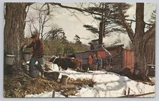 Postcard Maple Sugar Time Rudy's Wholesale Distributers Meredith New Hampshire
